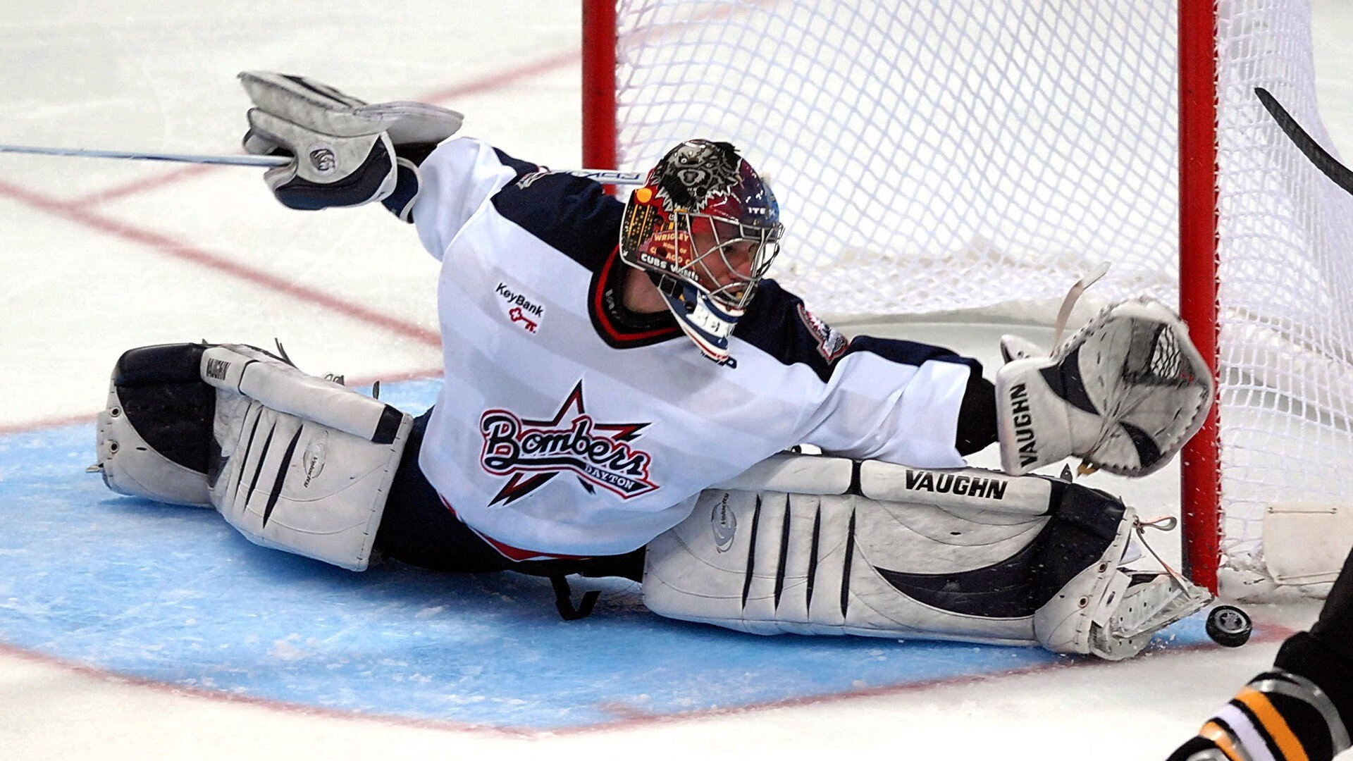 公牛队全员奋战,未来无限可能,公牛队现状